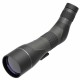 Telescopio LEUPOLD SX-2 Alpine HD GEN 2 20-60x80 - 45°