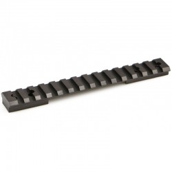 Base WARNE Tactical - REM 700 SA 20MOA