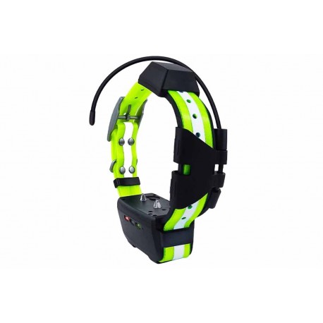 Iocus Collar Dok