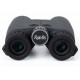 Prismático Roolls 10x42 LRF OLED