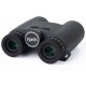 Prismático Roolls 10x42 LRF OLED